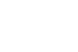 Ambulance-Icon