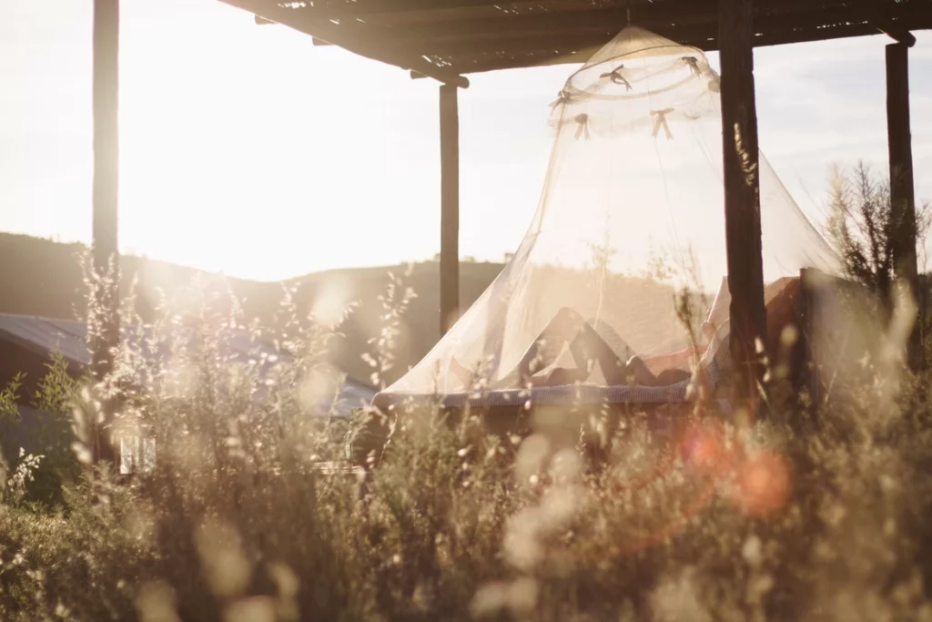 mosquito net over someone reading outdoors